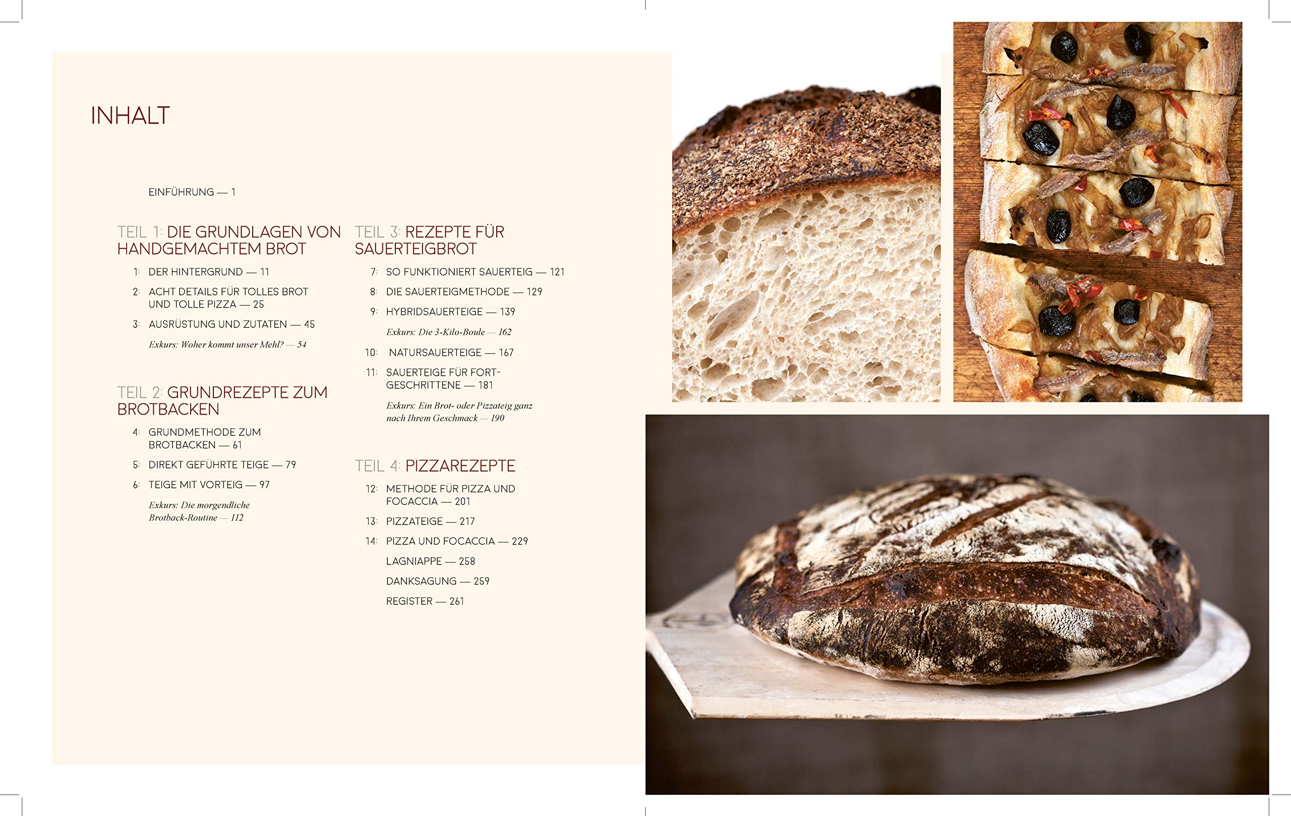 Mehl, Wasser, Salz, Hefe – Alles über gutes Brot: Einfach perfektes Brot backen – von Sauerteig bis Hefeteig