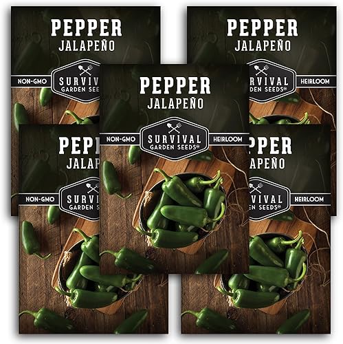 Survival Garden Seeds - Semilla de pimiento jalapeño para plantar - Paquete con instrucciones para plantar y cultivar chiles verdes o rojos en tu