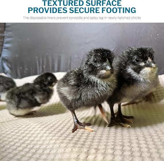 Insta BrooderTM Enclosed Brooder Pen for Hatchlings