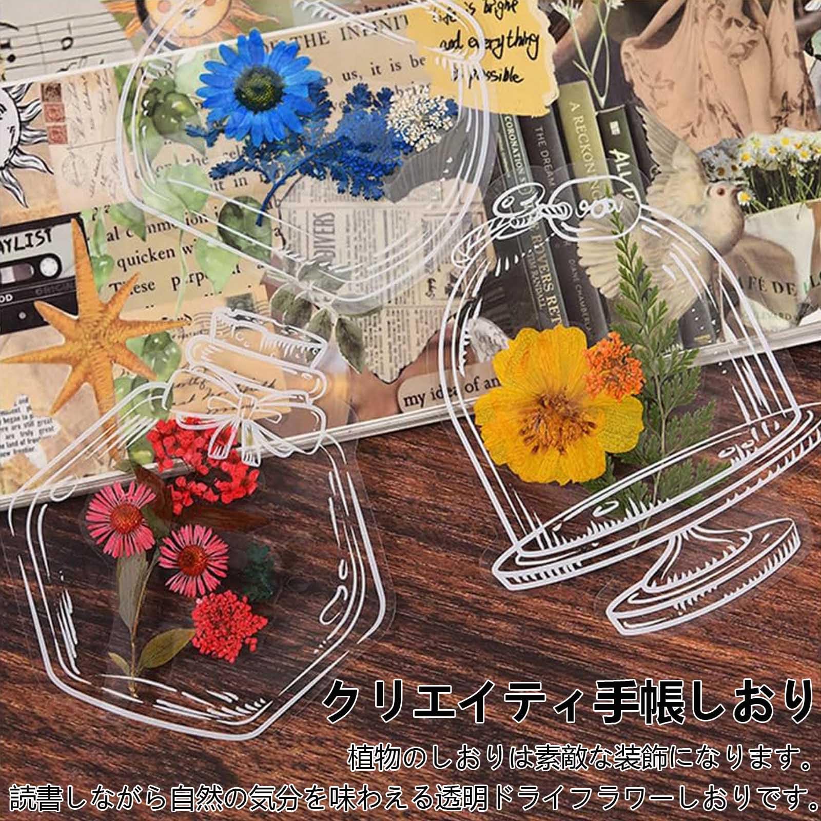 Amazon | Refoiner ドライフラワーのしおり 200枚セット押し花キット