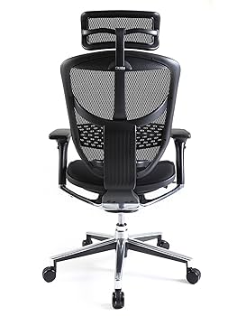 Amazon.co.jp: 【旧型】 エルゴヒューマン エンジョイ オフィス