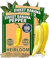 Vista 34 de HOME GROWN Semillas de eneldo sin OMG para plantar 1,014 ramos de semillas de eneldo y semillas de hierbas tradicionales para plantar al aire libre