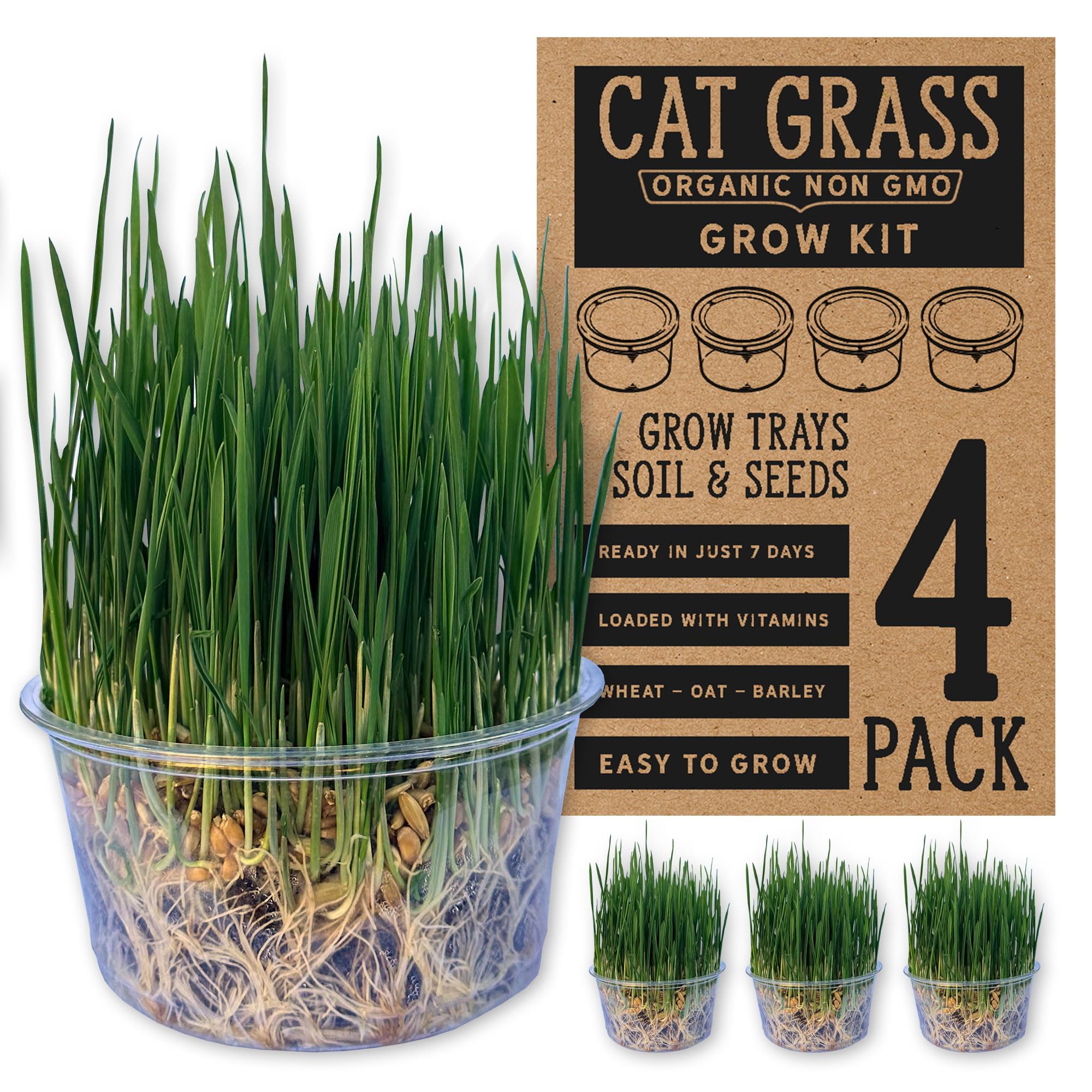Organic Cat Grass Premium Grow Kit 4 Pack | Non GMO Mixed Heirloom Seeds | Wheatgrass - Oat Grass - Barley Grass Blend