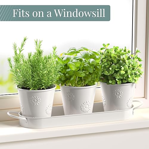 Miniatura 3 de Barnyard Designs Juego de macetas de jardín de hierbas para interiores con bandeja para exteriores, caja de jardinera de ventana de apartamento,
