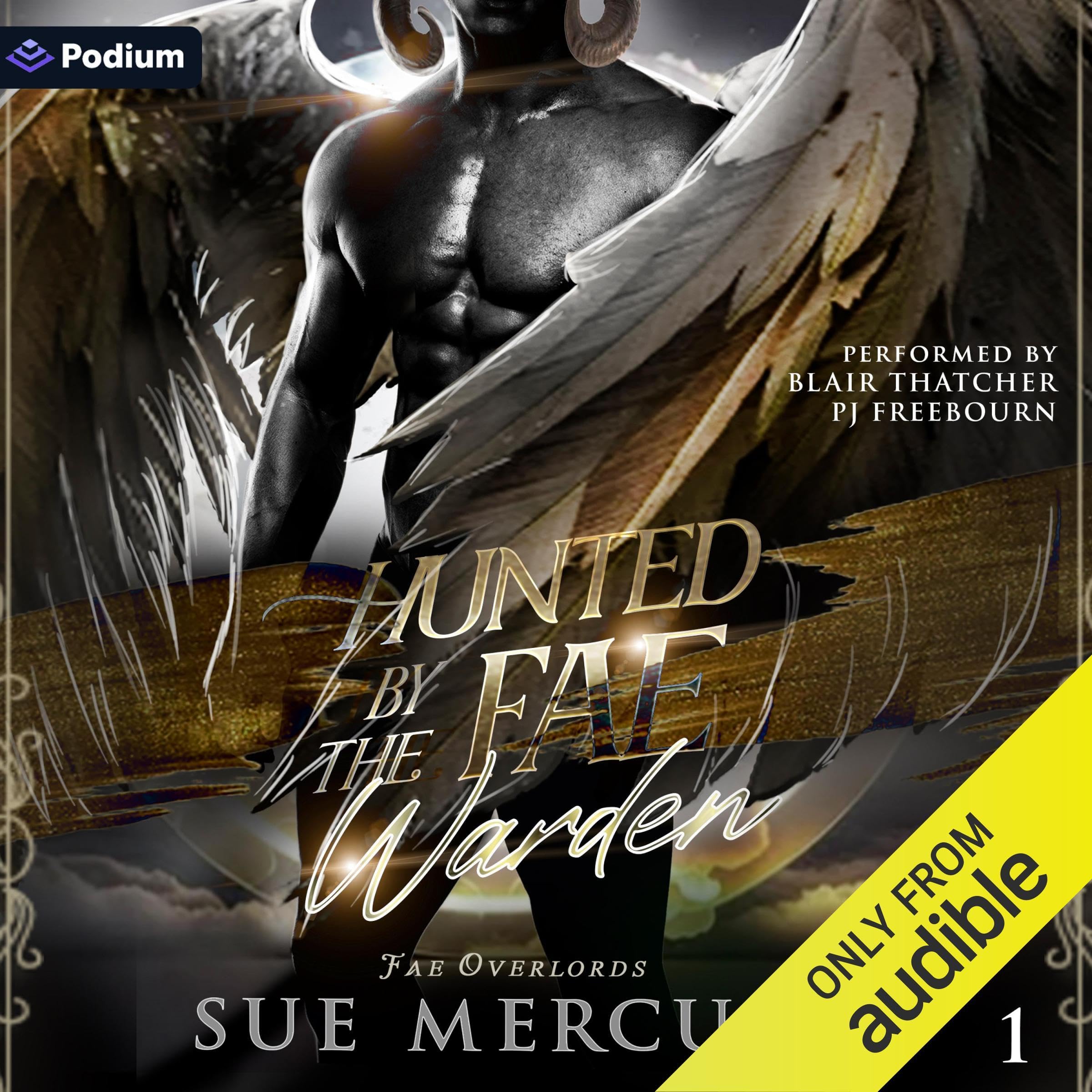 Cover art for Hunted by the Fae Warden