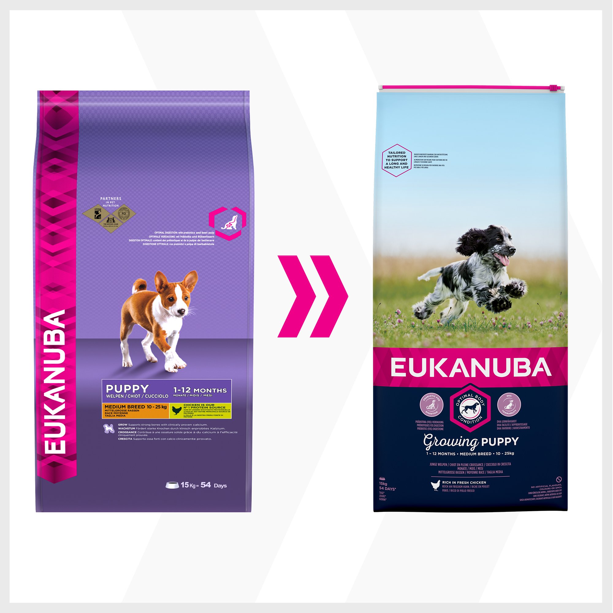 Eukanuba Karma dla szczeniaków ze świeżym kurczakiem dla średnich ras, sucha karma premium dla juniorów, 15 kg