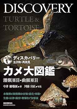 亀ページ カメ大全 | ジェフリー・E・ラヴィッチ, ウィット・ギボンズ, 冨