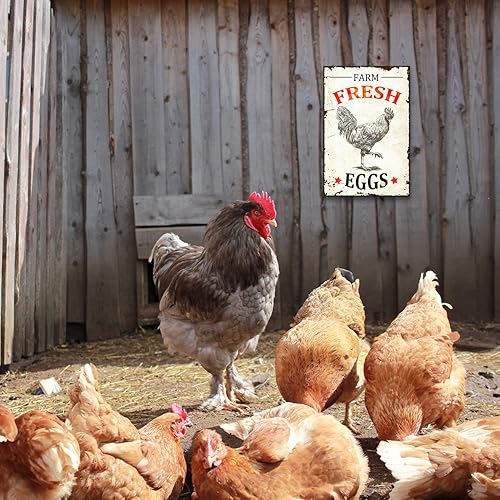 Miniatura 6 de Letrero de metal vintage de gallinero de granja huevos frescos letrero de lata para granja granero supermercado 8 x 12 pulgadas