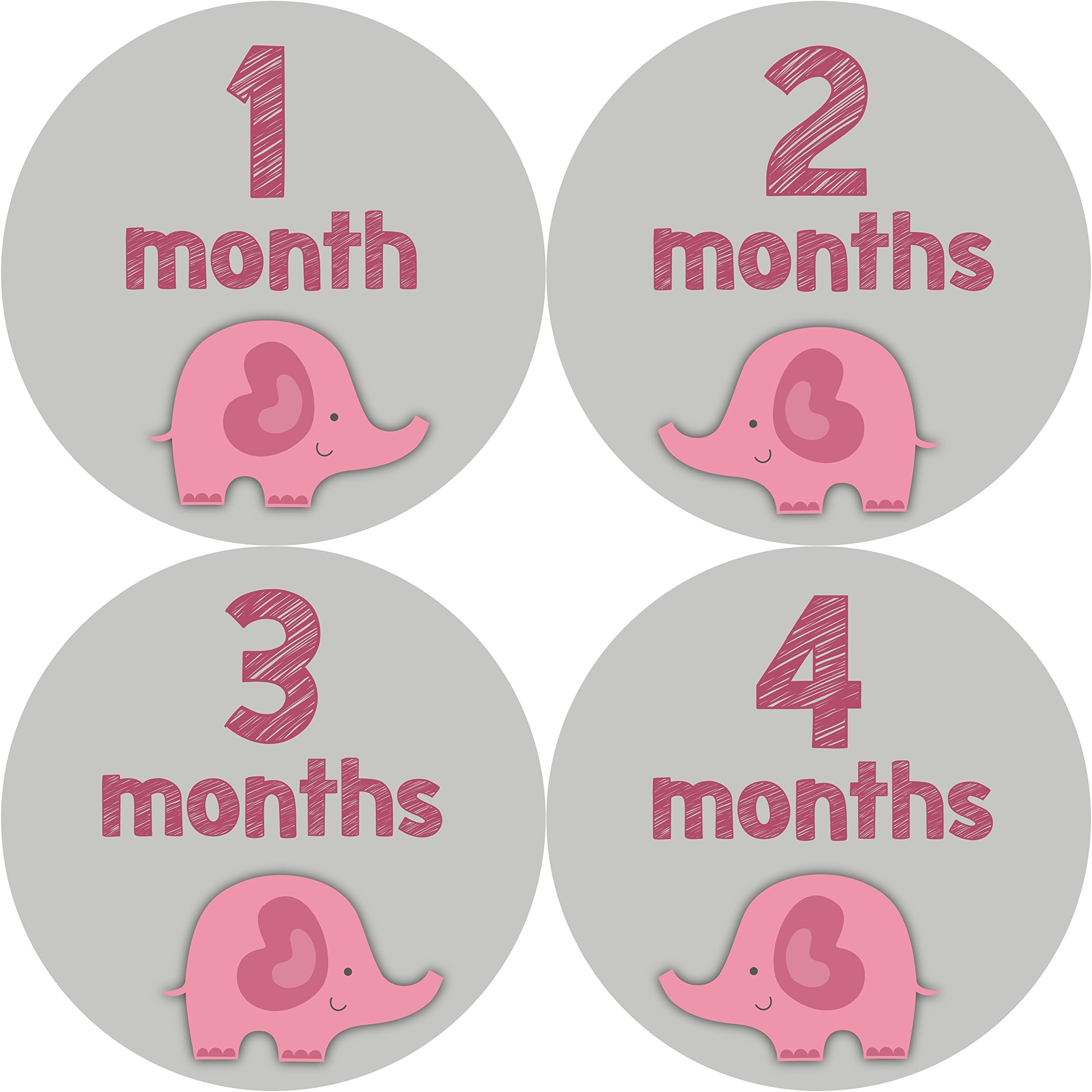 Monthly Baby Stickers