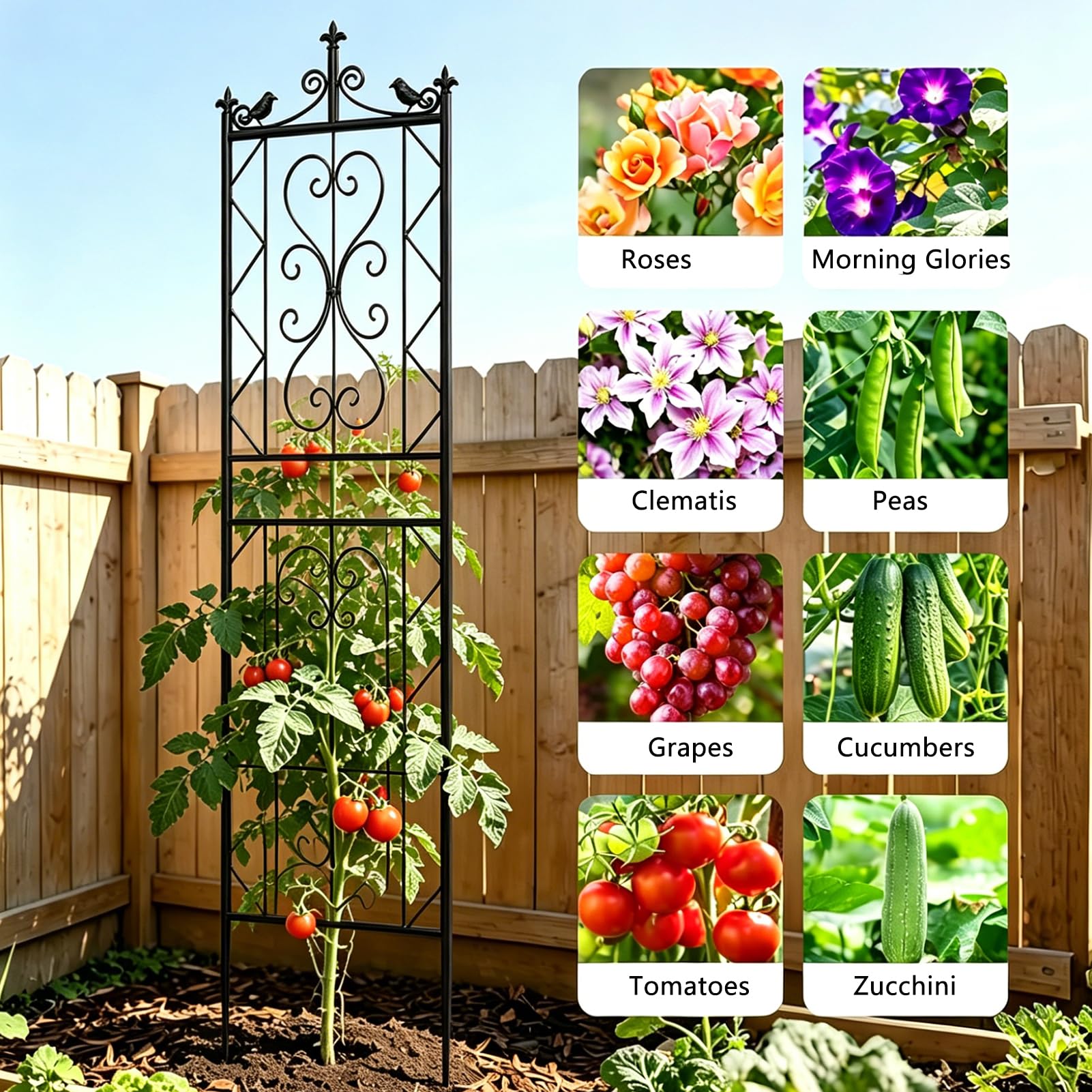 Traliccio in Metallo 195x50cm per Piante Rampicanti – Griglia Decorativa da Giardino con Uccellini – Recinzione per Fiori e Verdure, Nero (1 pz)