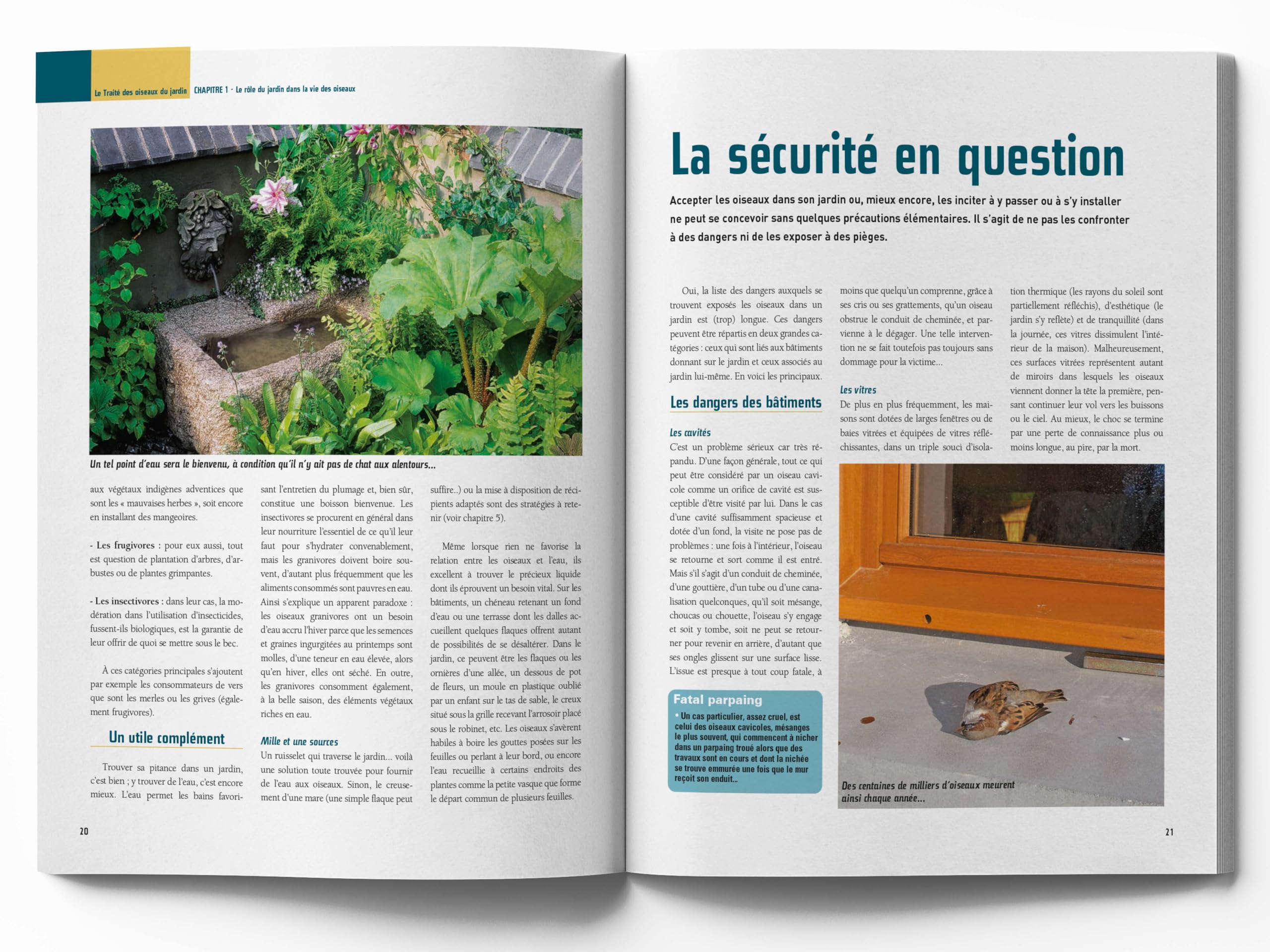 Le traité Rustica des oiseaux: Des jardins, des bois et des campagnes