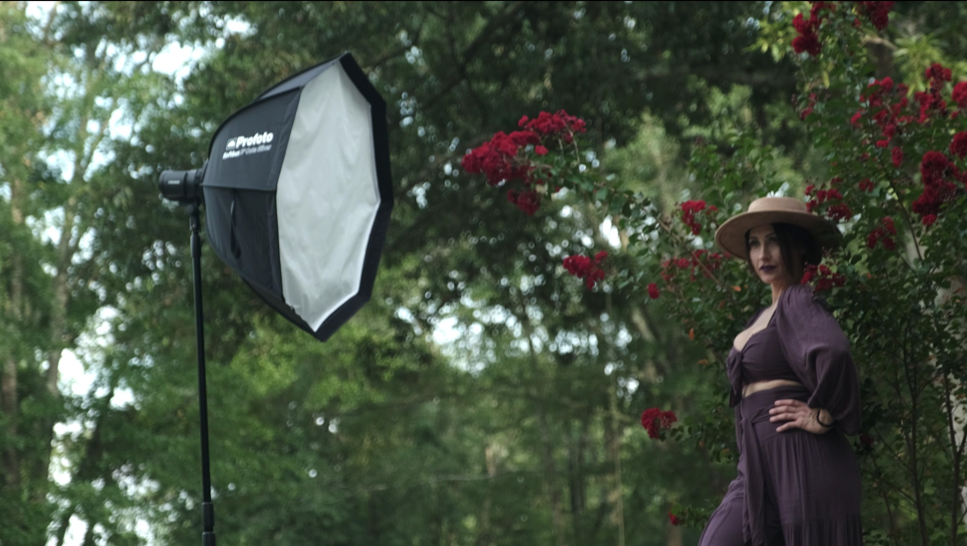 Amazon.com: Profoto Softgrid 2x3-Feet with 50-Degree Light Spread