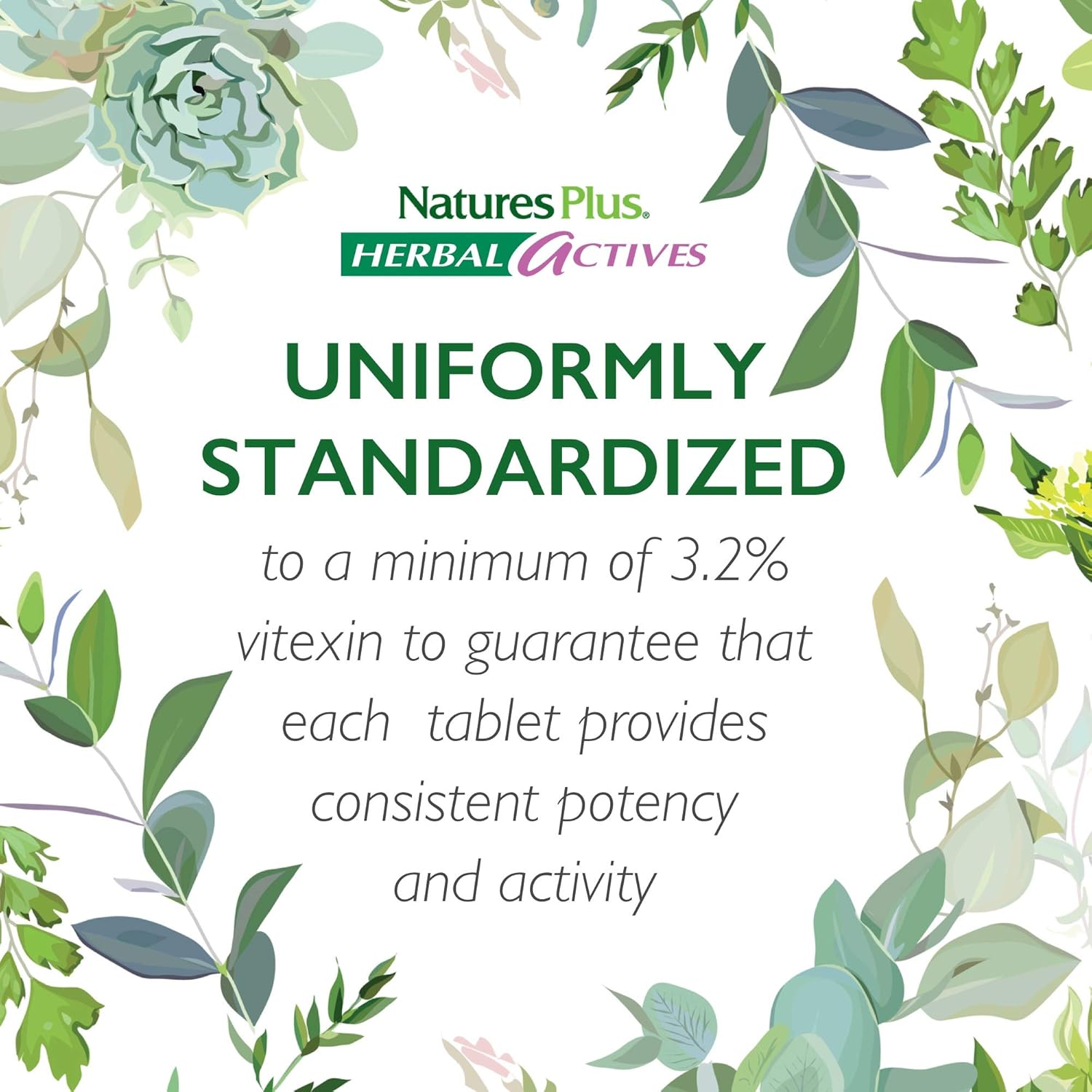 NaturesPlus Herbal Actives Hawthorne - 300mg, 3.2% Vitexin, 30 Vegan Tablets - 30 Servings : Health & Household