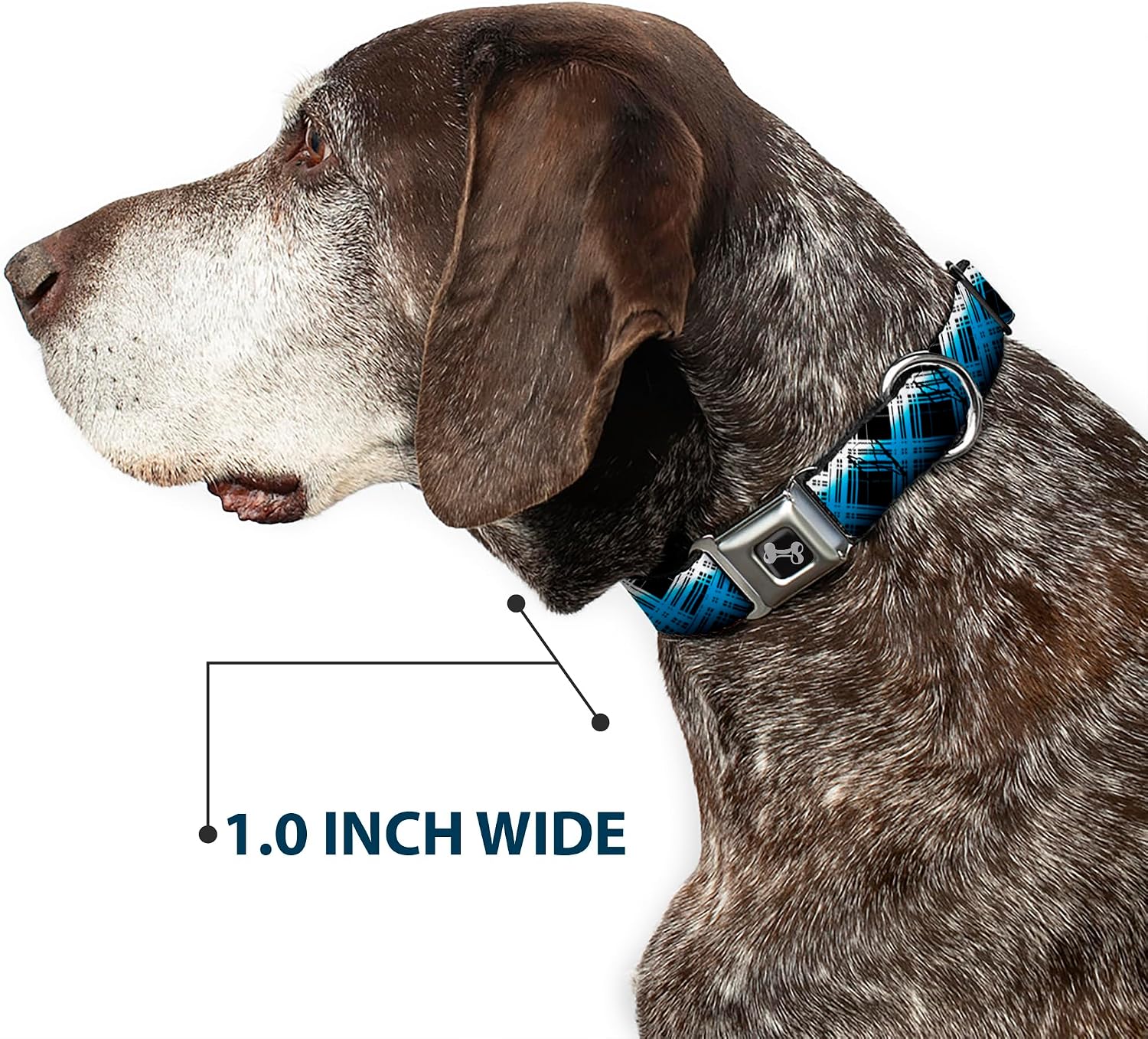 Buckle-Down Seatbelt Buckle Dog Collar - Plaid X Gradient Black/White/Blue - 1" Wide - Fits 9-15" Neck - Small