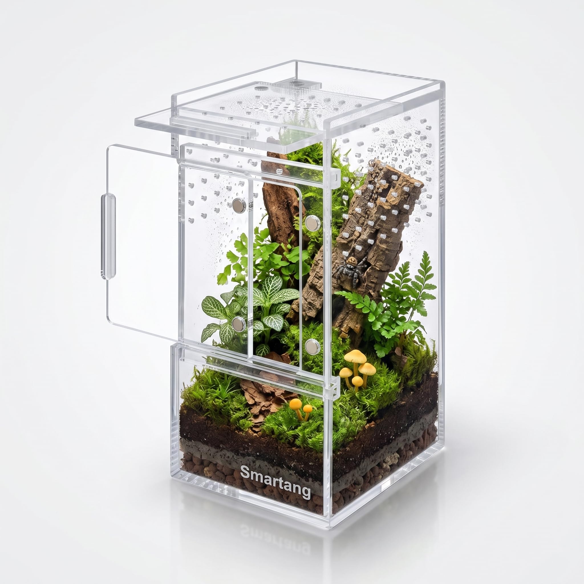 Photo 1 of ?Pre-Assembled? Jumping Spider Enclosure(3"×3"×6") Front Above Opening Praying Mantis Habitat, Jumping Spider Habitat, Arboreal Tarantula Enclosure, Insect Terrarium,Acrylic Terrarium