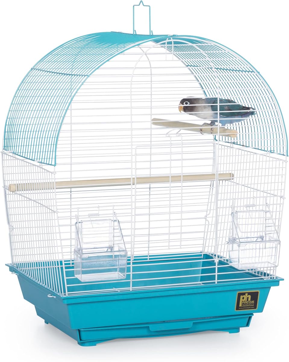 Prevue Pet Products Jaula para pájaros con parte superior en forma de cúpula South Beach - Blanco y verde azulado | Ideal para periquitos, pinzones, periquitos y canarios, jaula para pájaros interior pequeña y portátil.