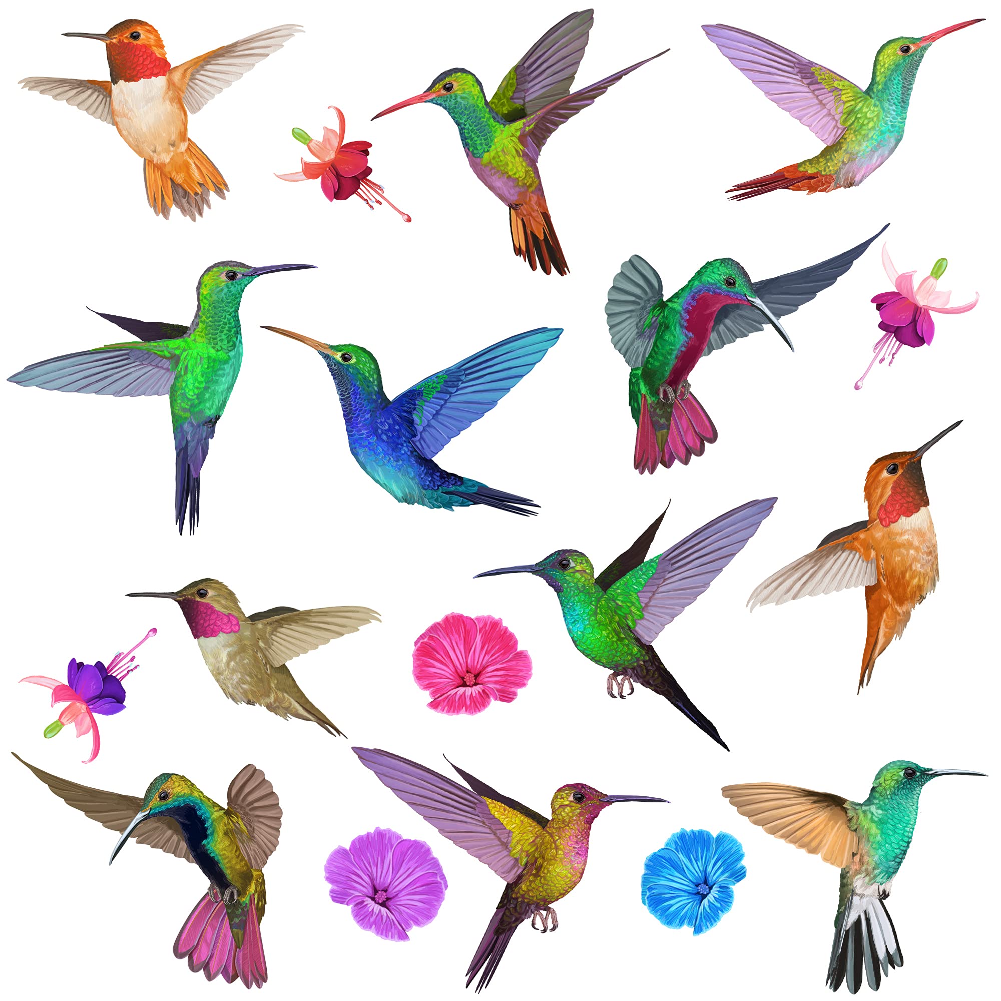 Buy Articlings 12 Hummingbird Window Clings Non Adhesive Vinyl Stickers