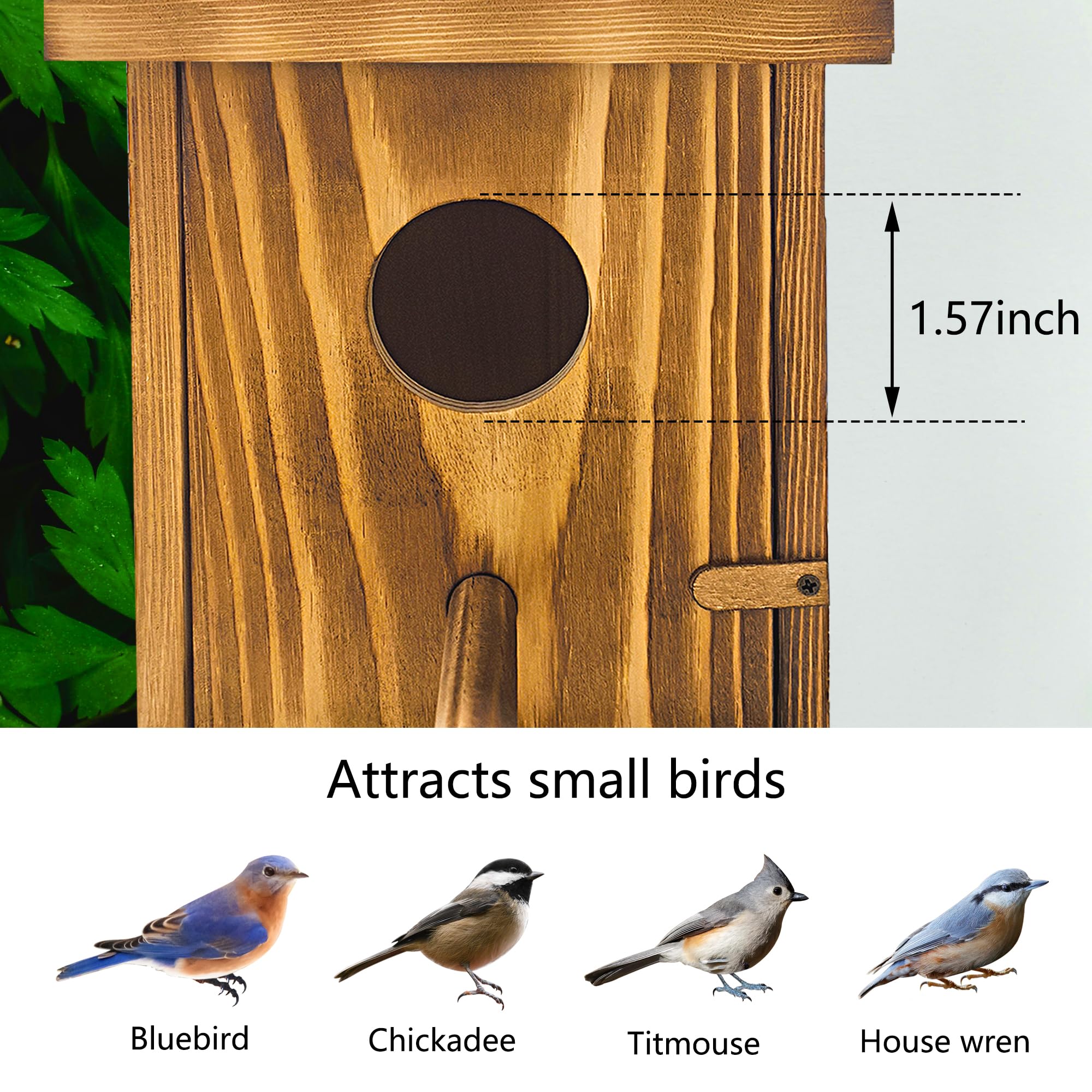 Casas de pájaros para exteriores, casa de pájaros de madera con percha desmontable, casas de pájaros azules de pinzón para colgar en el exterior para ver cabañas de campo