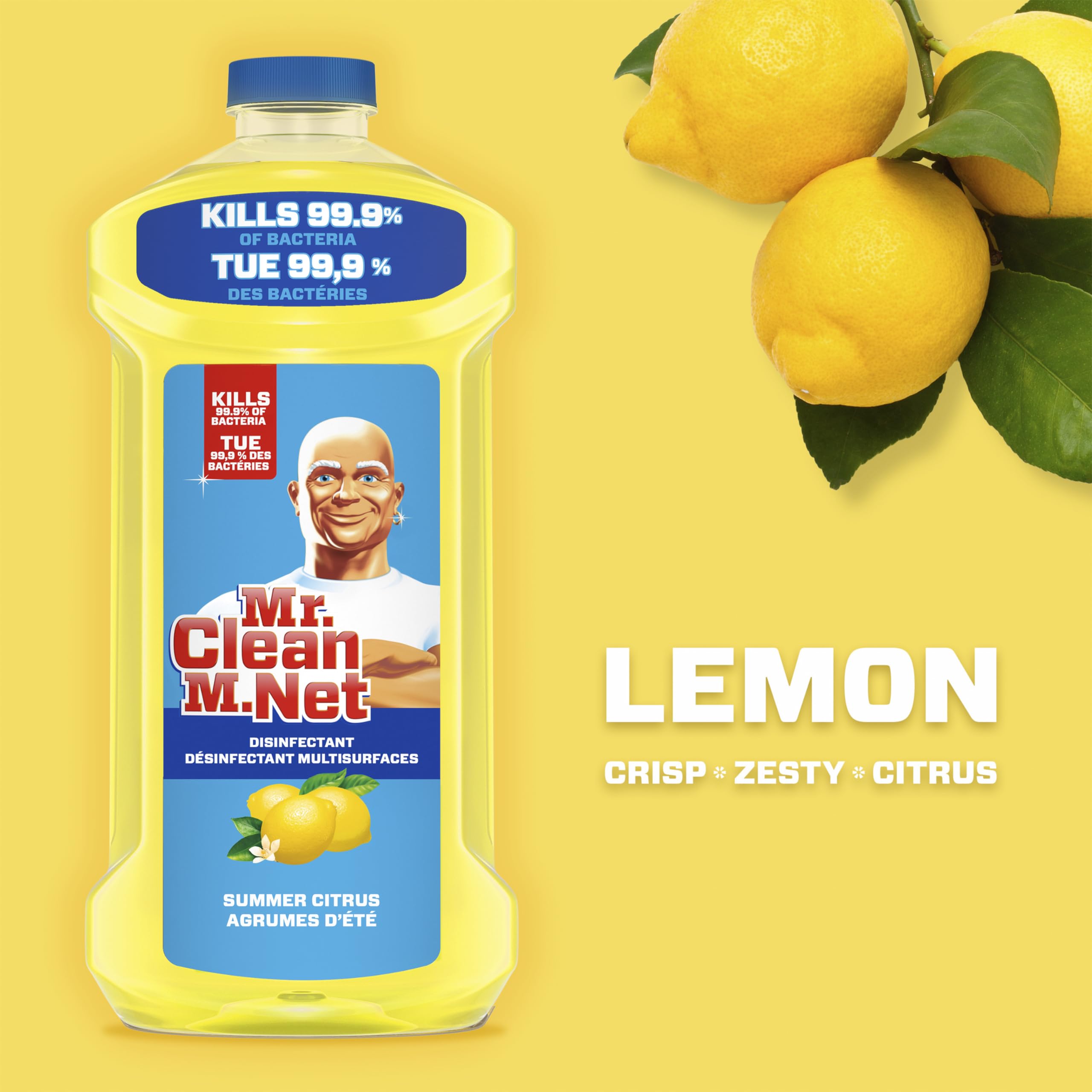 Mr. Clean Antibacterial Multi Surface Cleaner