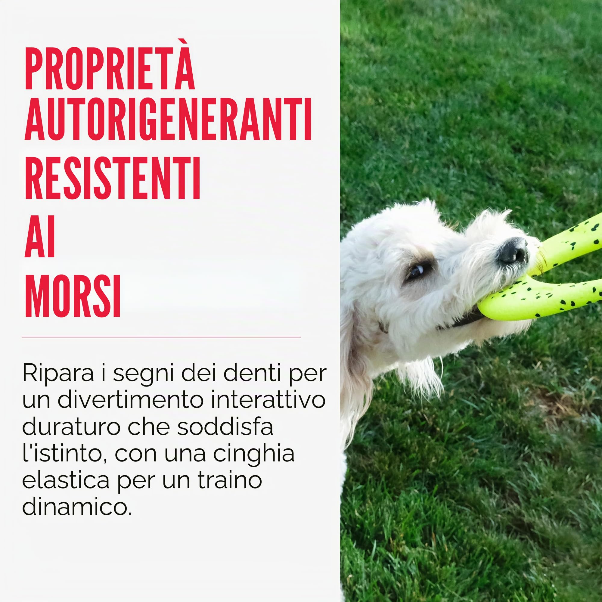KONG Volantino per Cani Reflex
