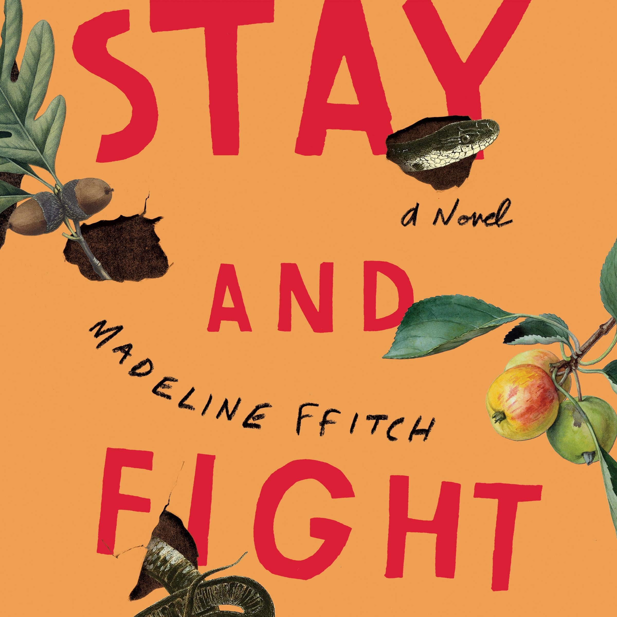 Cover art for Stay and Fight