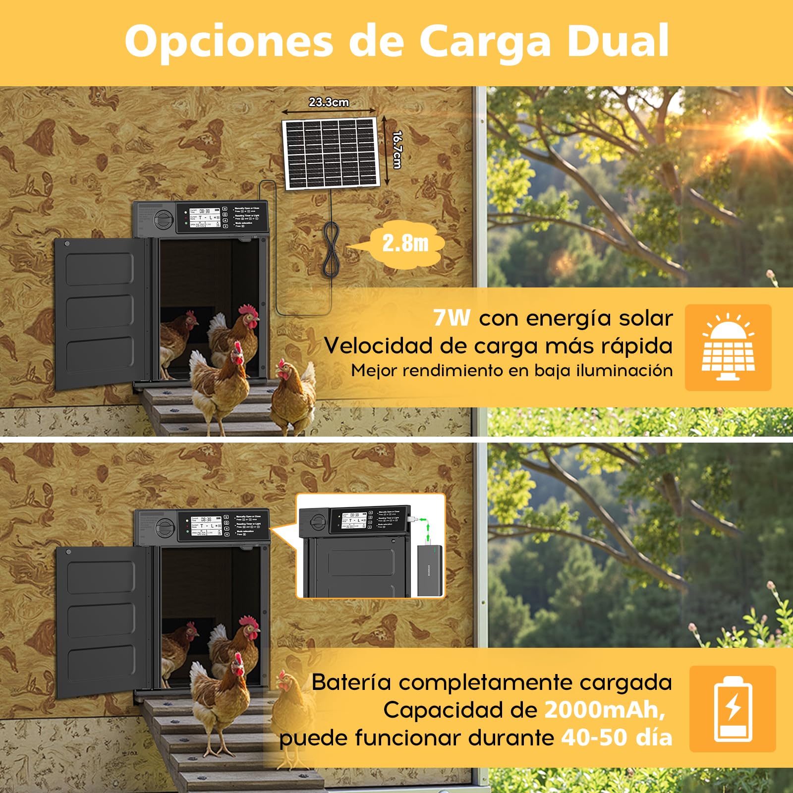 Puerta de pollo automática grande solar, aluminio, apertura lateral, tapa eléctrica con panel solar 7W, LED, sensor de luz, temporizador, mando