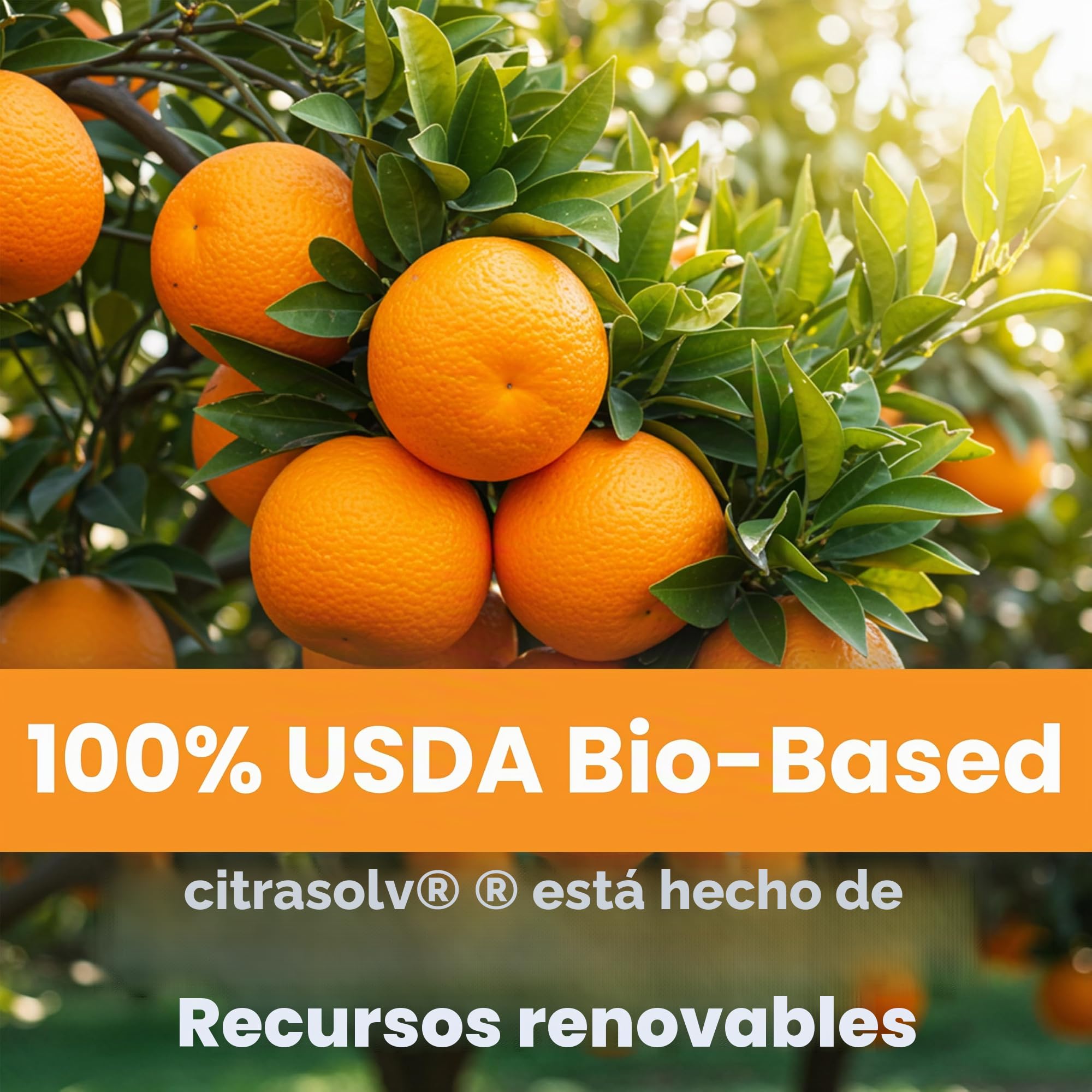 Citra Solv Spray de limpieza multiusos, potente desengrasante cítrico para cocina y baño, limpiador multisuperficie, sin productos químicos agresivos, naranja Valencia, 22 onzas