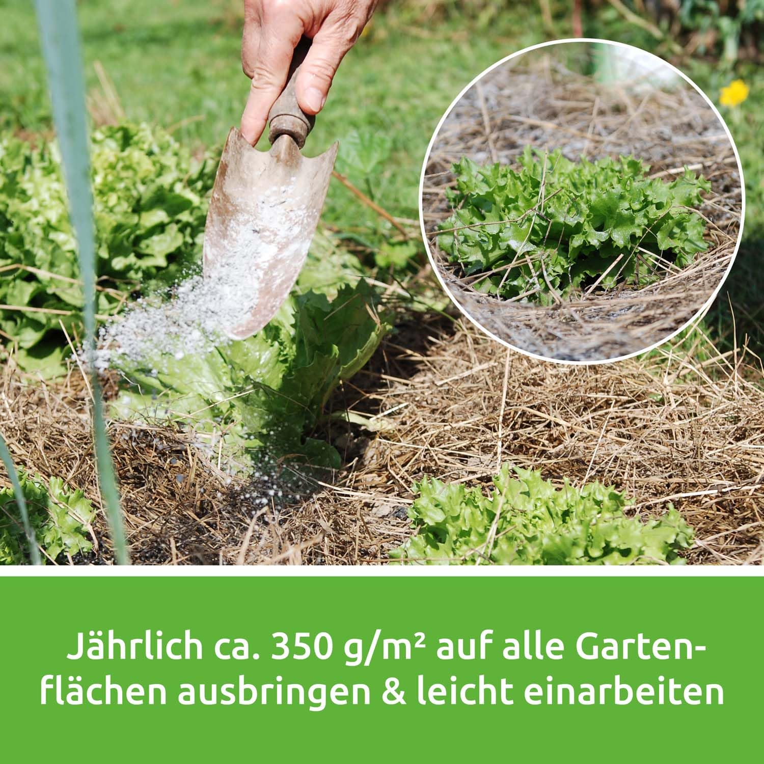 EM-Chiemgau Diabas Urgesteinsmehl fein [mit effektive Mikroorganismen] natürlicher Bodenaktivator, Wurzelaktivator, Kompostbeschleuniger & Staubbad oder Einstreu für Hühner, Zertifiziert (3x 7 kg)