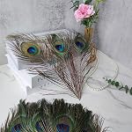 THARAHT 24pcs Peacock Feather Natural in Bulk 10-12 inch 25-30cm For Vase Craft Vase Wedding Home Party Christmas Day Decoration Peacock Feathers