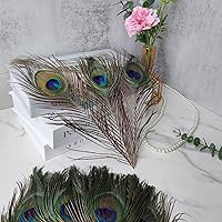 Vista 7 de THARAHT 120 plumas de pavo real natural a granel de 10-12 pulgadas 9.8-11.8 in para manualidades, florero, boda, hogar, fiesta, Navidad, decoración