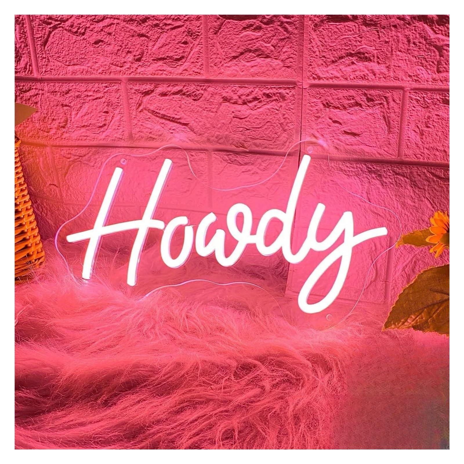 LEMST Sign Lamp Howdy Neon Signs, USB Powered Lights, Suitable for Bars, Clubs, Hotels, Trendy Decorations & Birthday 21.3x38cm