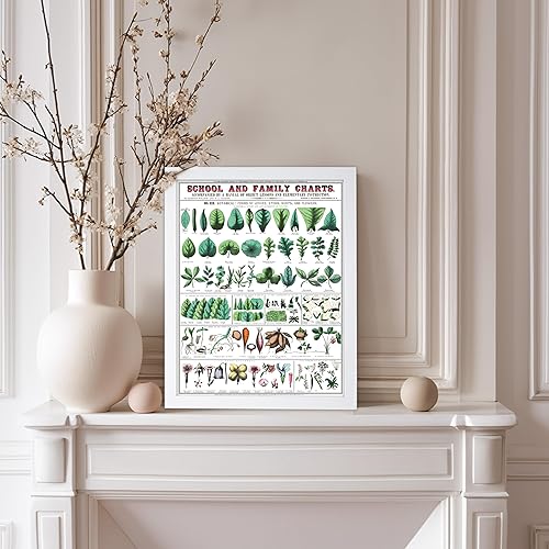 Miniatura 132 de Poster Master Póster vintage de orquídea, estampado de flores retro, arte de pared de plantas exóticas, arte botánico, regalo para hombres y