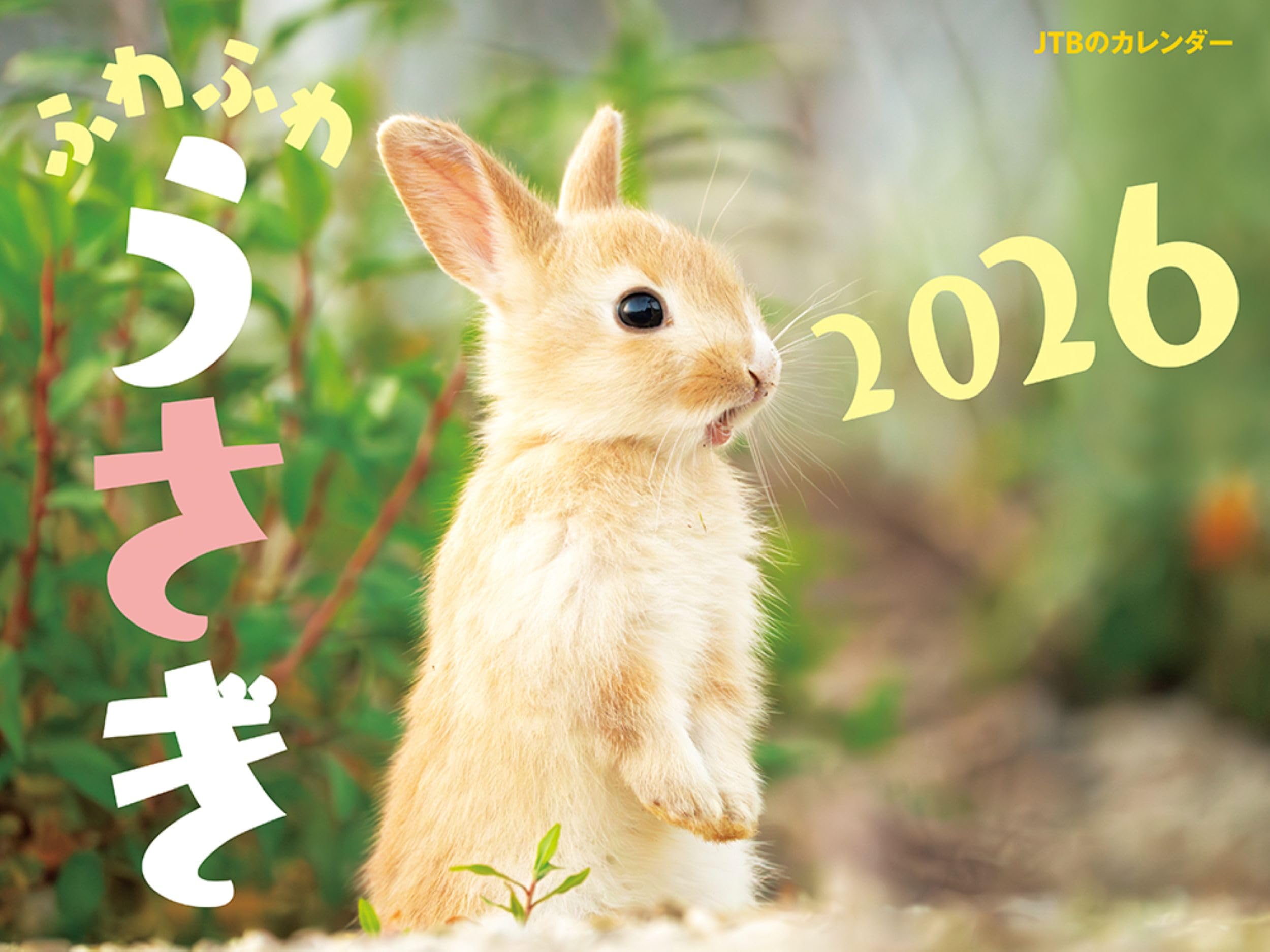 kurousagi クロウサギ カレンダー 2012 美品 2012年ちひろカレンダー好評発売中 - いわさきちひろ記念事業団 公式サイト