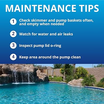 Raypak Protege Pool Pump with Thermal Protection & Large Basket