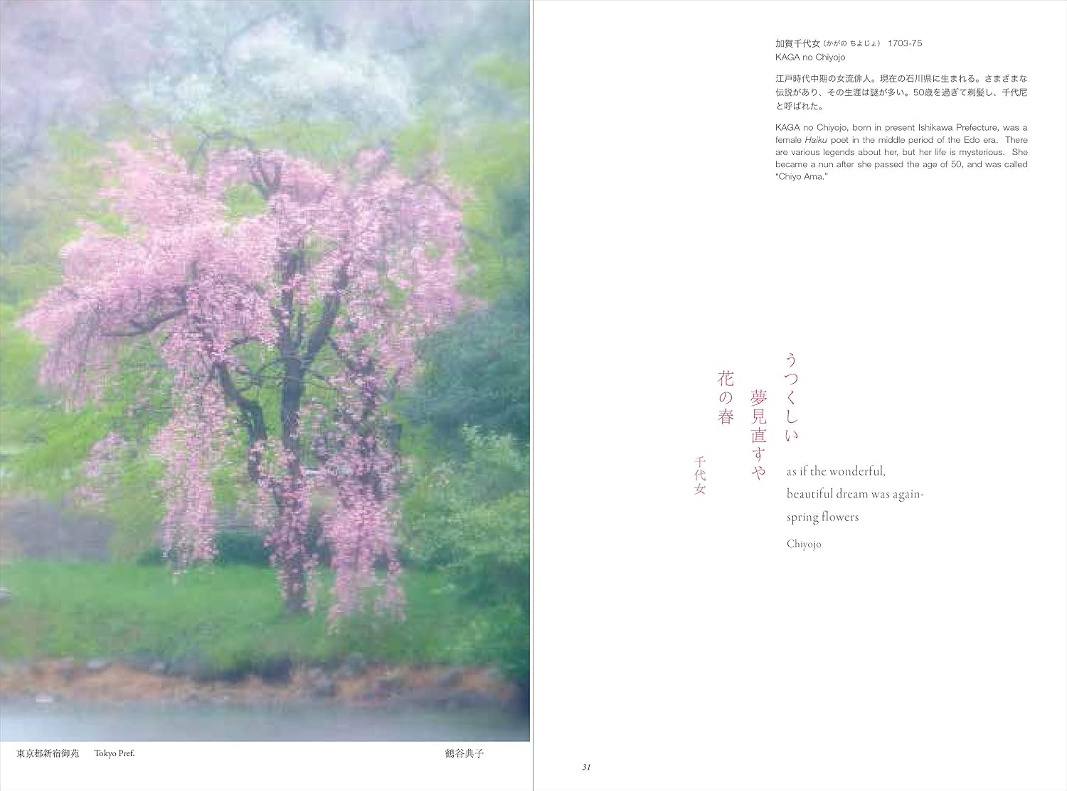 Photographs of Imagined Haiku Landscapes (Japanese Edition)      Tankobon Hardcover – November 11, 2019