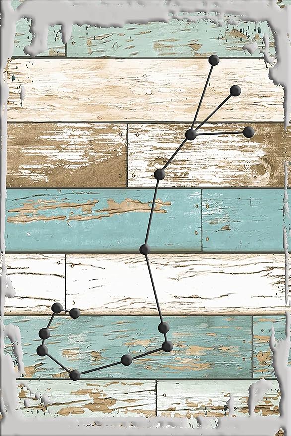 Scorpio the scorpion star map Oct 23-Nov 21 zodiac sign astronomy White Wall Sign Decor Funny Gift