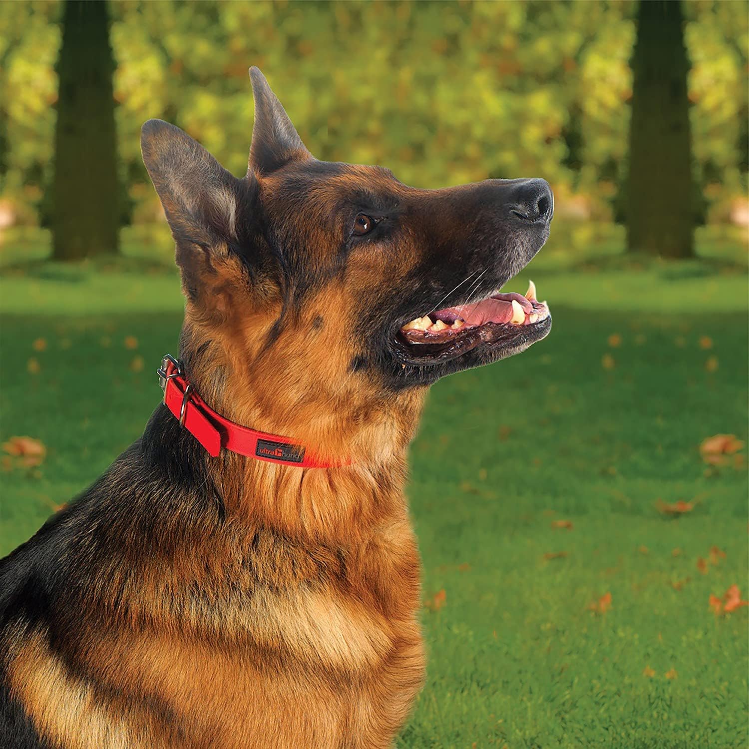Ultrahund True-Fit Collar, 1" x 24", Yellow