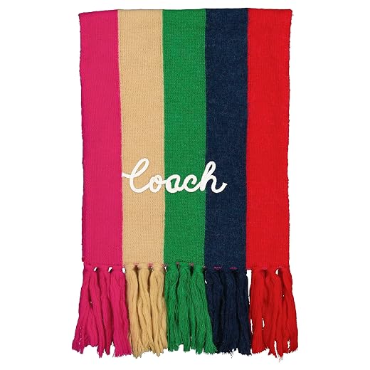 Coach Multi Stripe Knit Scarf