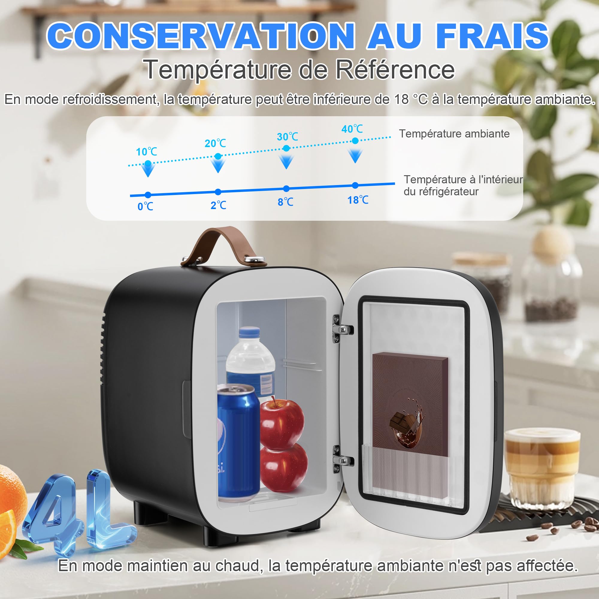 Enventor Mini Frigo 4 litres 6 canettes Alimentation CA 12V CC Glacière Réchaud Portable Noir