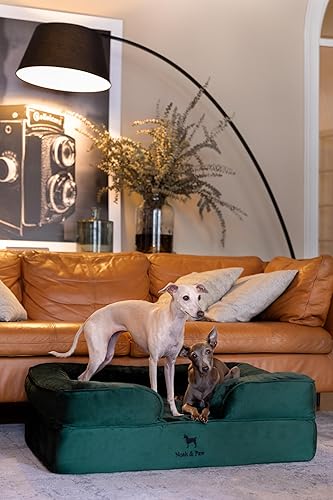 Miniatura 6 de NOAH & PAW Cama grande para perro, 35 x 25 x 11 pulgadas, camas ortopédicas para perros, espuma viscoelástica con cáscara de huevo con gel