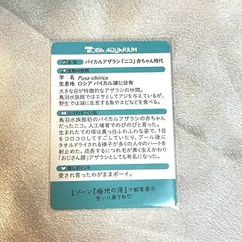 鳥羽水族館 コレクションカード ニコ 赤ちゃん時代 鳥羽水族館コレクションカード ニコ レア - メルカリ