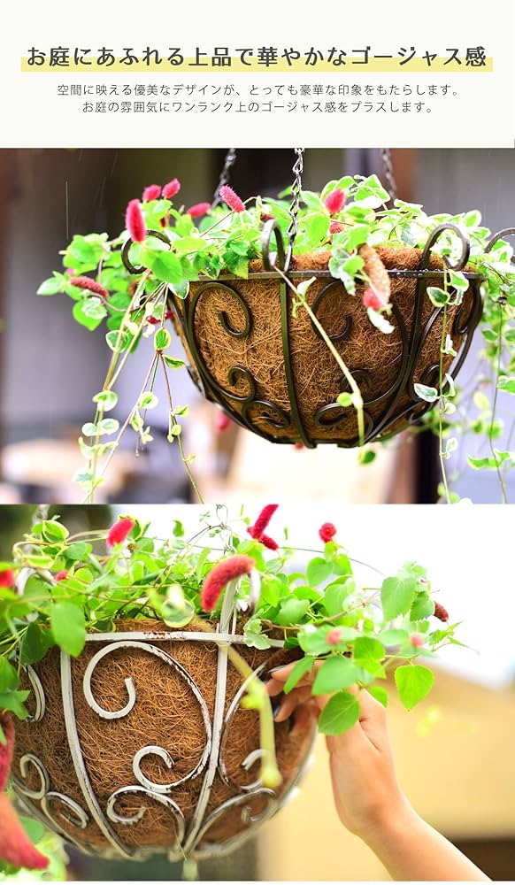 Amazon | ガーデンガーデン ゴージャスアイアン ハンギング