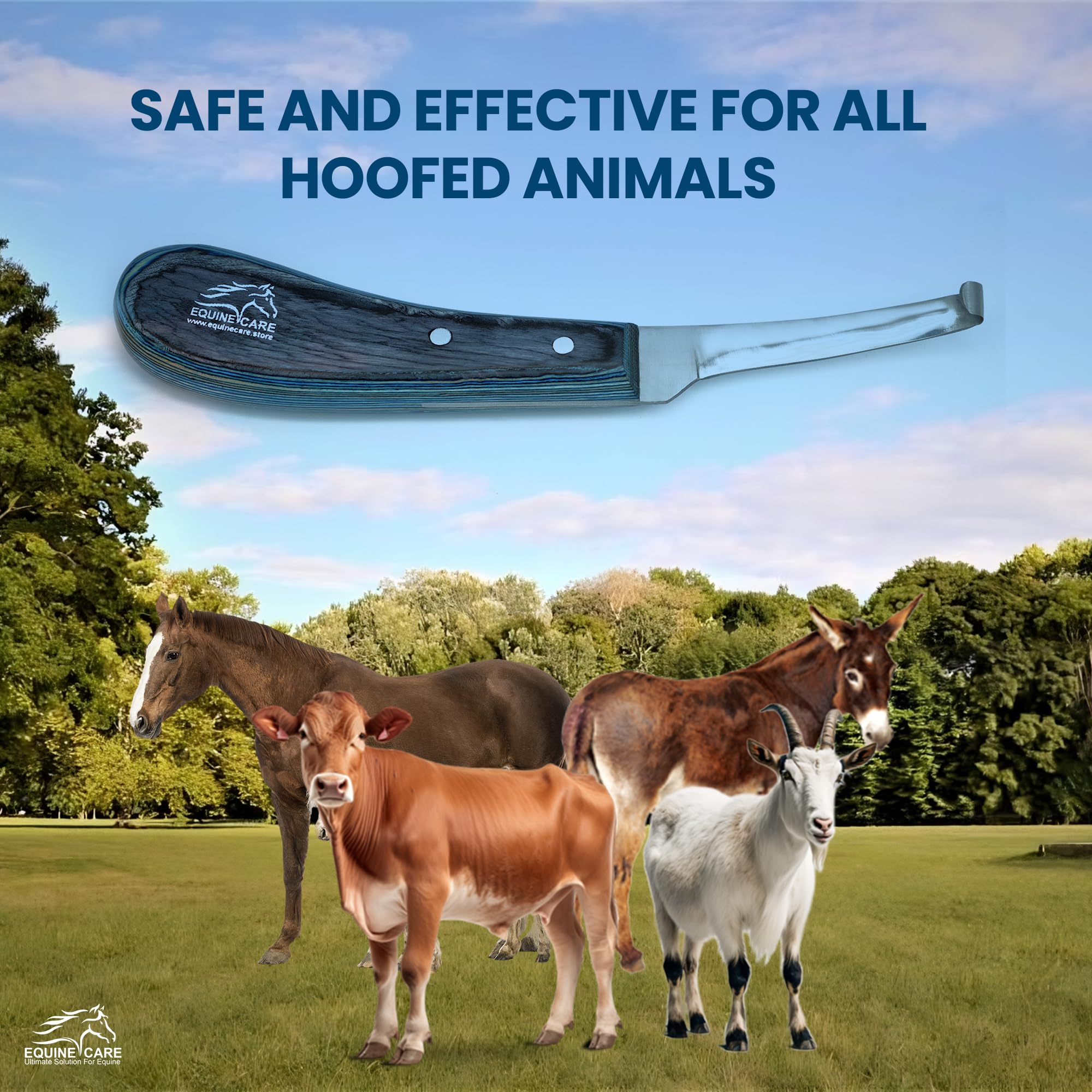 Rated 5.0 out of 5 stars from 5 reviews - image 6