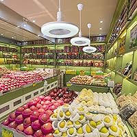 Vista 8 de WGTCZY Ventilador de techo portátil, ventiladores de techo de 11 pulgadas, control remoto, LED, regulable, 3 colores, ventilador de techo al aire