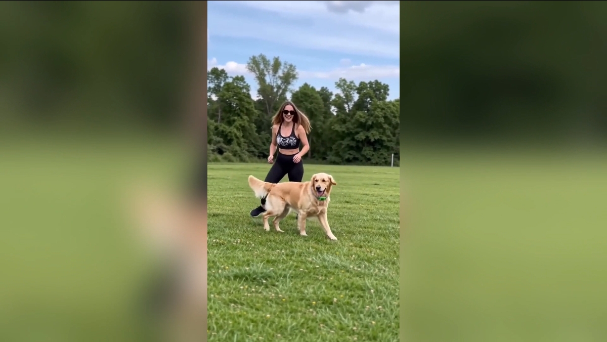 SERESTO Elanco - Collare per Cani Piccoli Fino a 8 kg Antiparassitario per Cane
