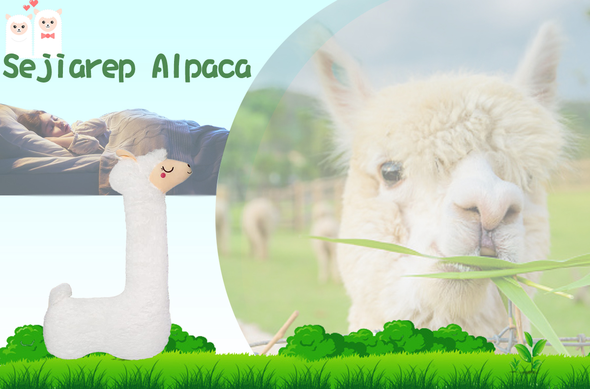Amazon.com: Sejiarep Alpaca Llama Plush Pillow - 29