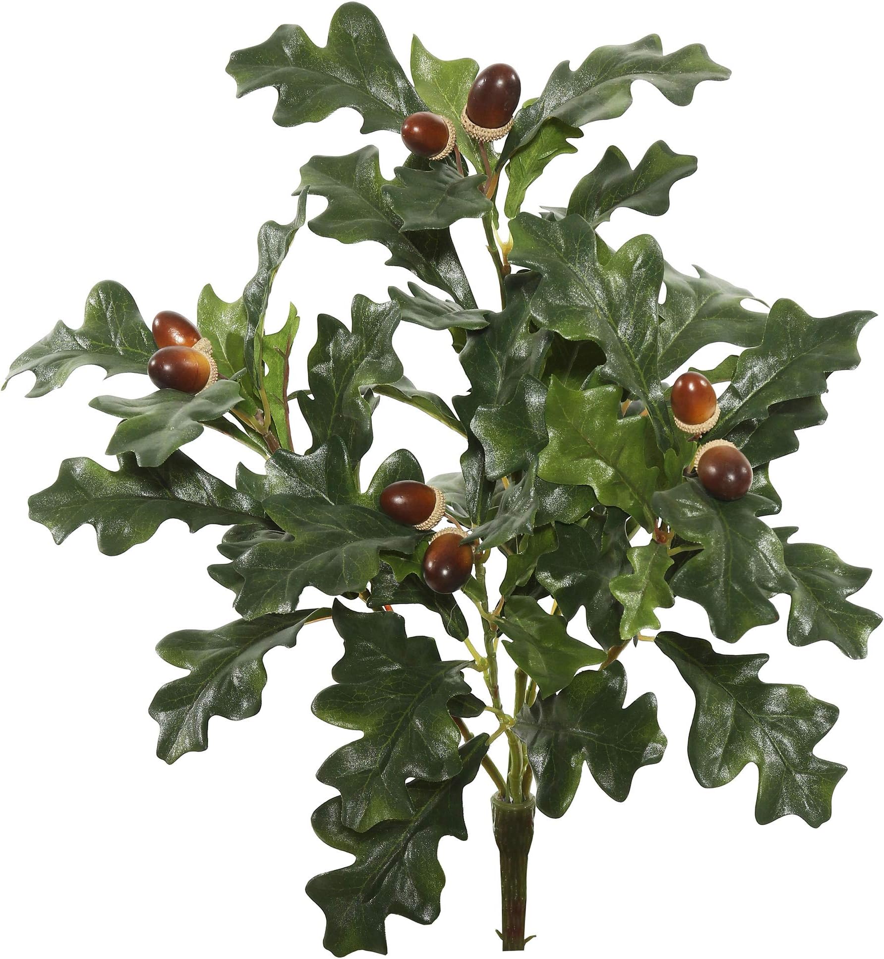 Vickerman18" Artificial Green Oak Spray. Add Texture and Depth to Your Arrangement with This Oak Spray, Featuring 8 Branches with 60 Leaves. Includes 3 Sprays per Pack. Recommended for Indoor Use.
