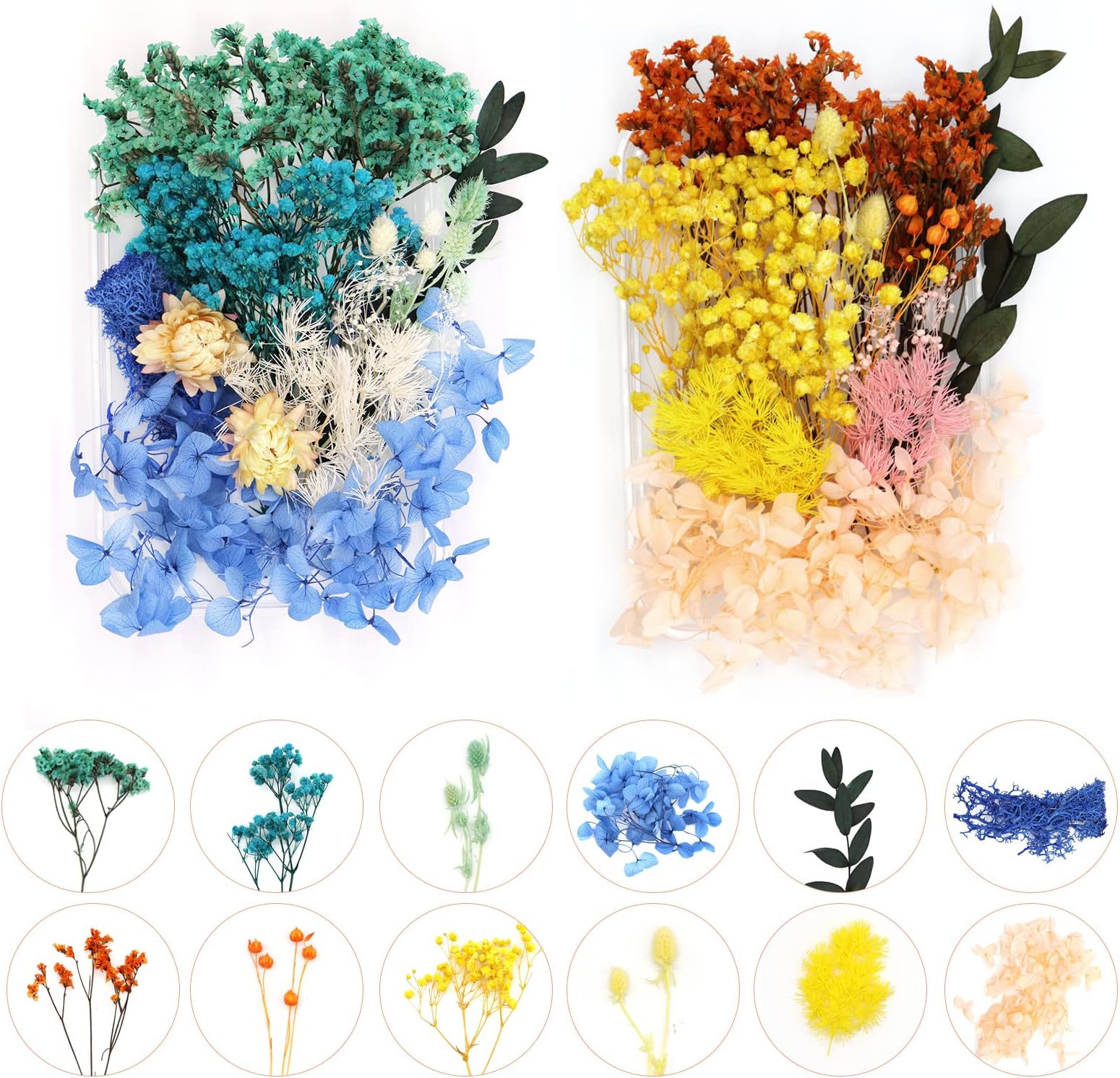 Natürliche Getrocknete Blumen Set - 12 Sorten DIY Bastelblumen Für Harz & Deko