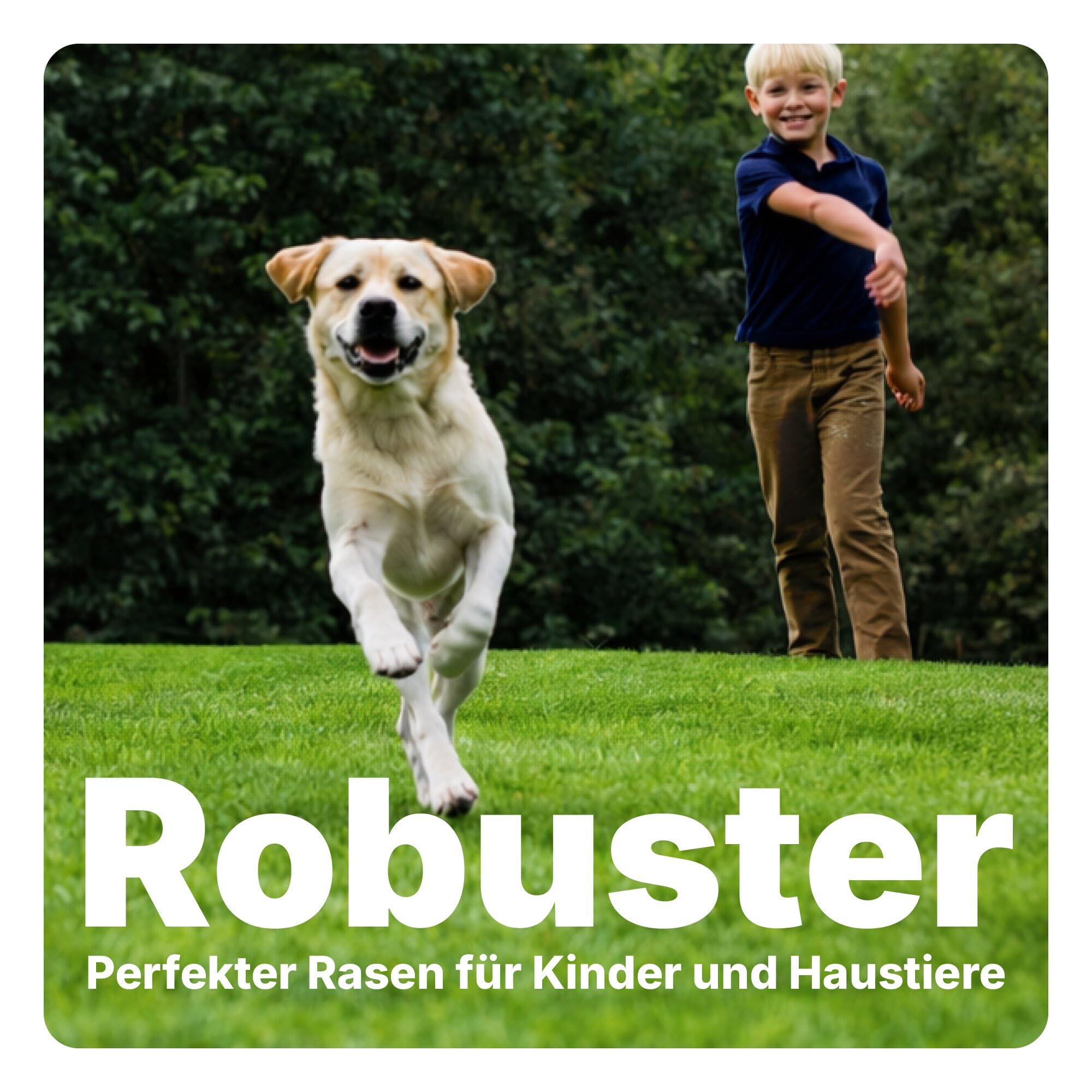 GreenMaster Premium Rasensamen 7,5 kg | Für Nachsaat & Neuanlage | Dichter, strapazierfähiger Rasen | Schnelles & kräftiges Wachstum | Profi-Qualität für größere Flächen