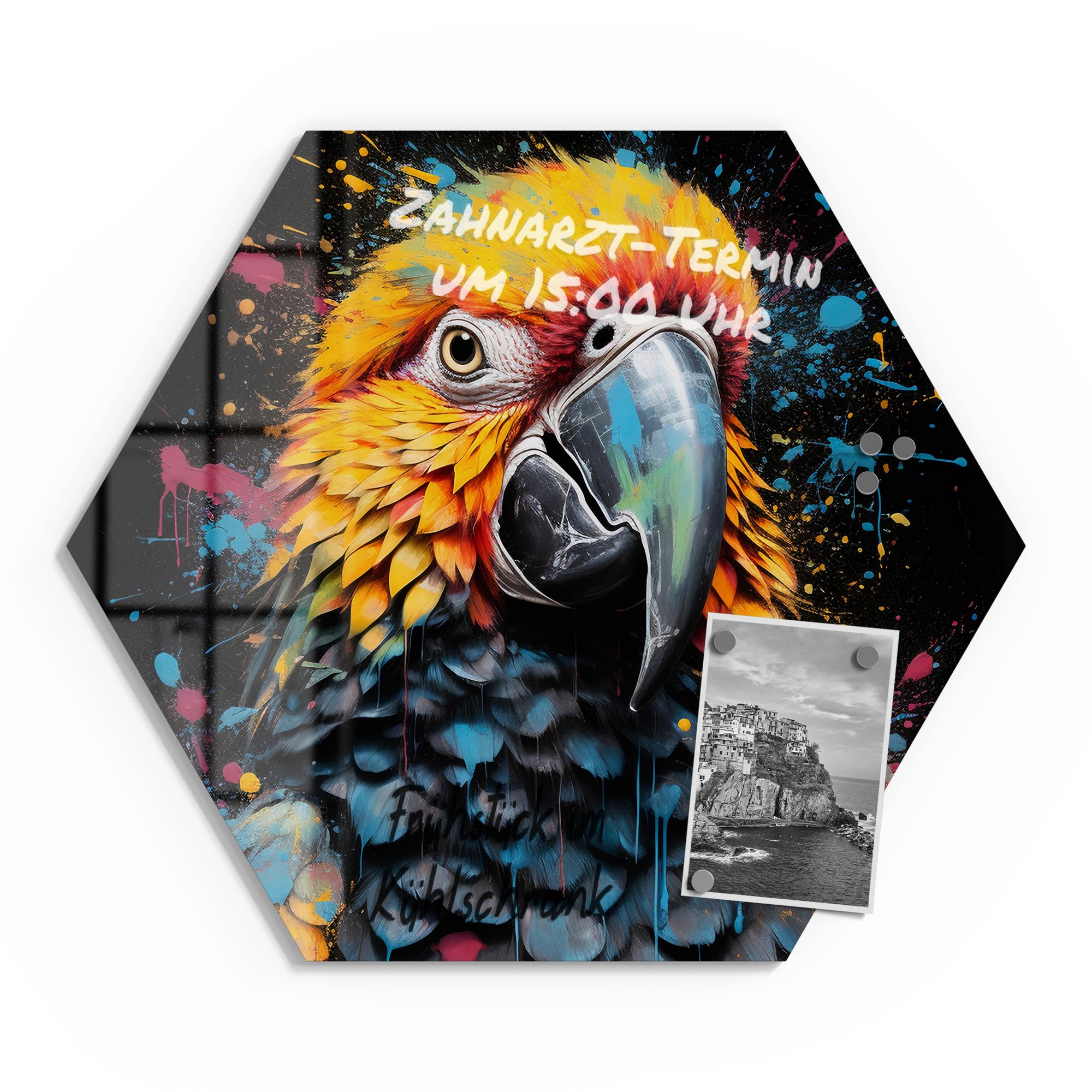 DEQOART Lavagna magnetica in vetro | esagonale 55 x 47,6 cm | motivo "gioco di colori pappagallo" | Lavagna magnetica con magneti, penna e panno per cucina e ufficio | Lavagna scrivibile